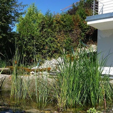 N1 Standalone House Baden Lejlighed Hertenstein Eksteriør billede