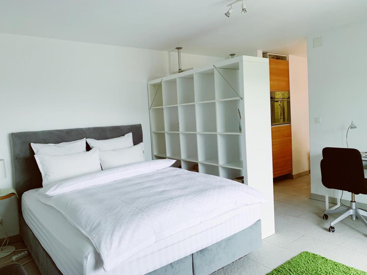 N1 Standalone House Baden Lejlighed Hertenstein Eksteriør billede