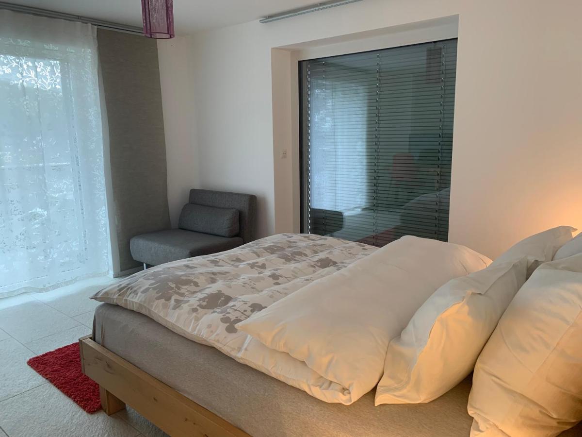 N1 Standalone House Baden Lejlighed Hertenstein Eksteriør billede
