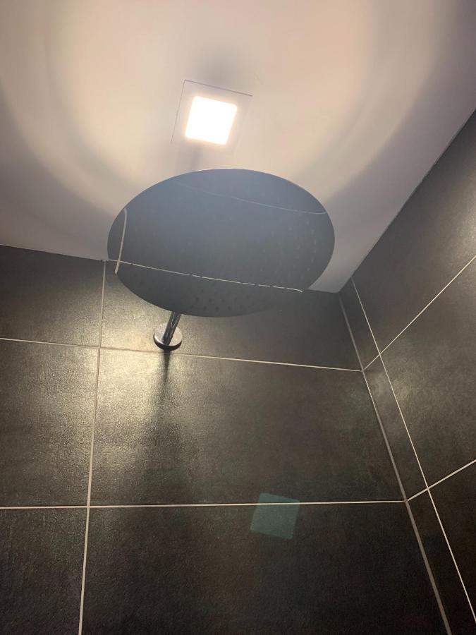 N1 Standalone House Baden Lejlighed Hertenstein Eksteriør billede