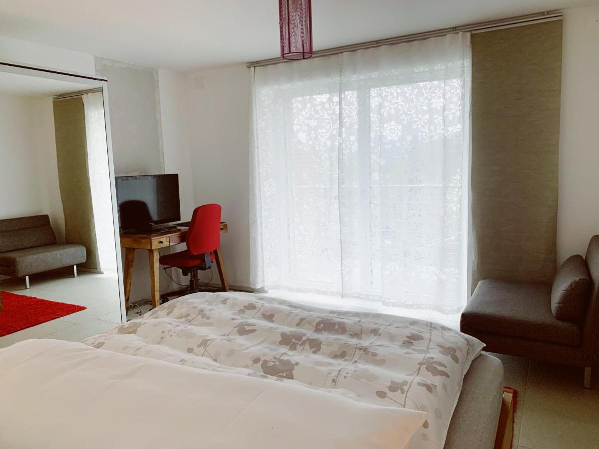 N1 Standalone House Baden Lejlighed Hertenstein Eksteriør billede