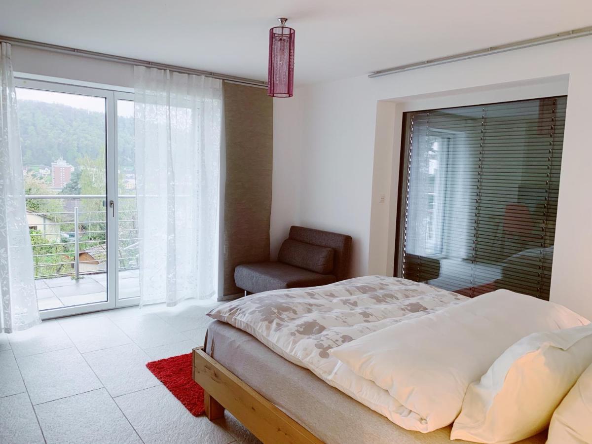 N1 Standalone House Baden Lejlighed Hertenstein Eksteriør billede