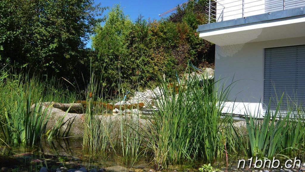 N1 Standalone House Baden Lejlighed Hertenstein Eksteriør billede